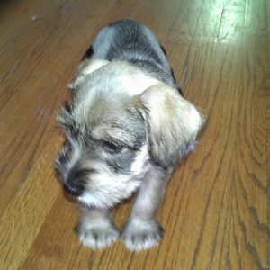 Meet your Posher, Sabrina